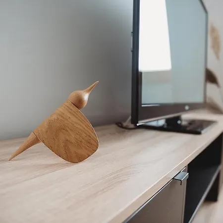 Penthouse Eleni - Olimpijska Kuca *